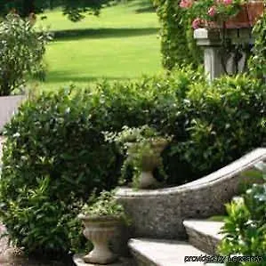 Hotel Chateau D'adomenil